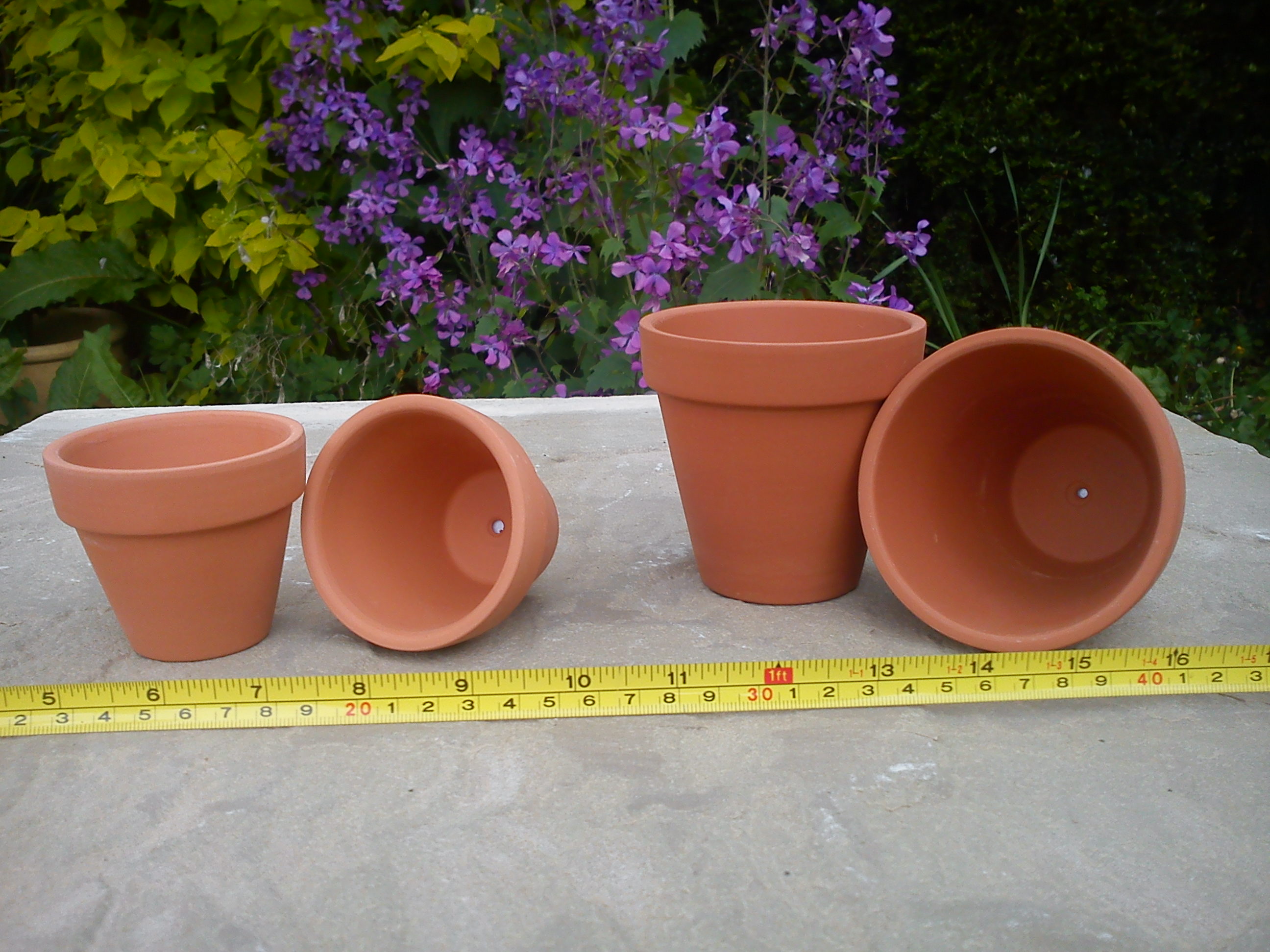 Plant Pots  2 5cm to 11cm diameter Terracotta World