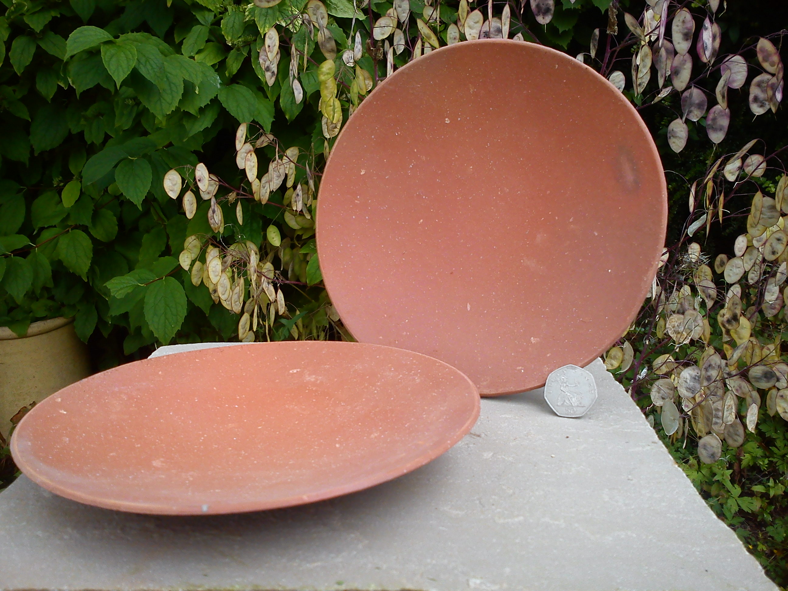 Earthenware Plates x 2 Terracotta World