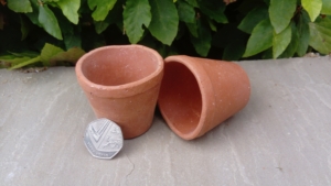 Small cup shaped like plant pots