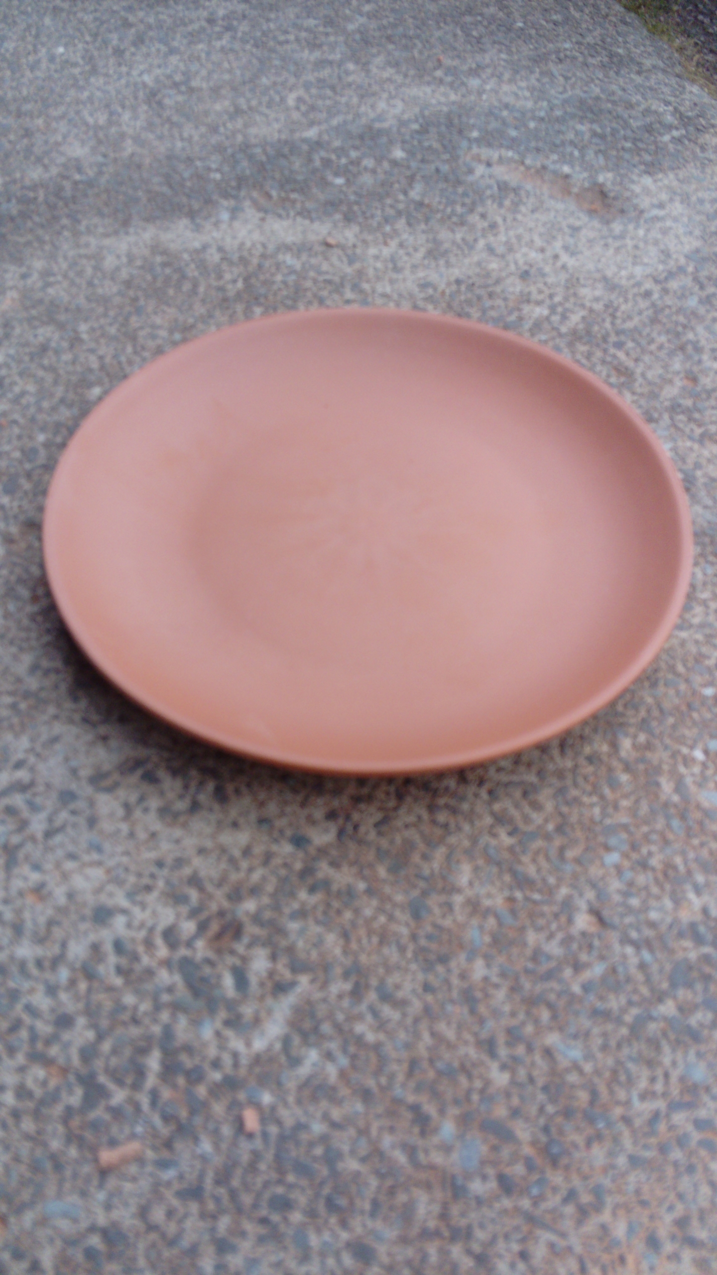 Photo of unglazed 23cm plate