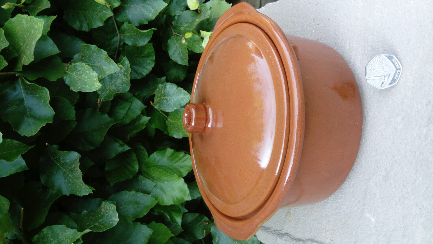 Glazed Spanish Cooking Pot/Cocotte 3 sizes Terracotta World